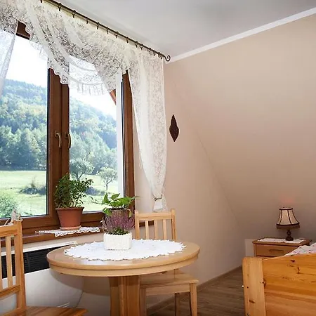 Dzika Stokrotka Idzikow