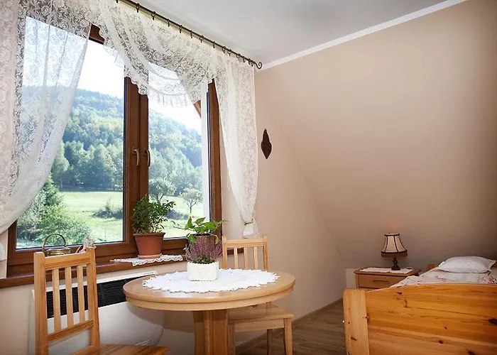 Dzika Stokrotka Idzikow